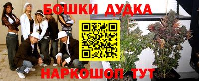 индика Азнакаево