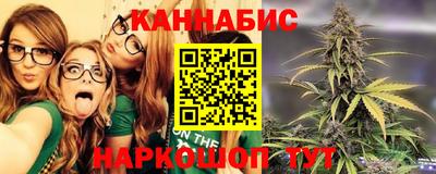 крисы Аргун